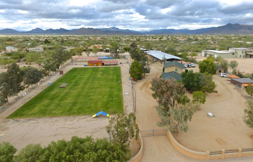 Dog Training Phoenix Arizona Dog Trainers Hunter Canine